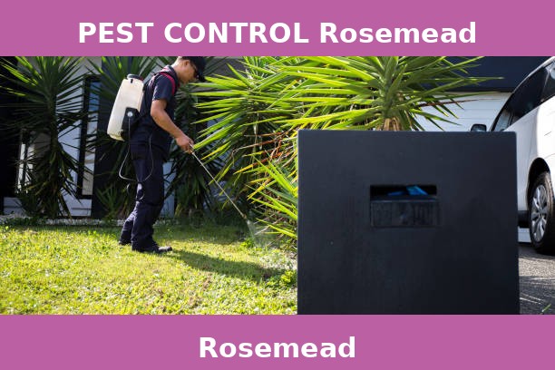 PEST CONTROL Rosemead